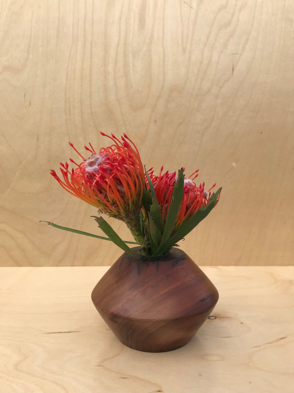 ZIG WOOD BUD VASE - PETIT | RECLAIMED BLACK WALNUT