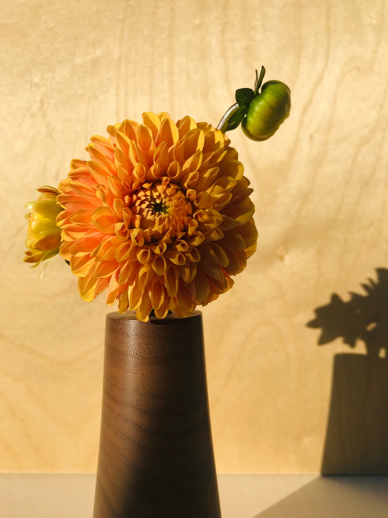 DELGADO WOOD BUD VASE - PETIT | NORTH AMERICAN WALNUT