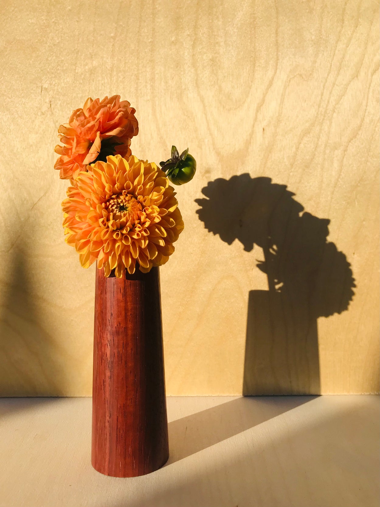 DELGADO WOOD BUD VASE - PETIT | AFRICAN PADAUK