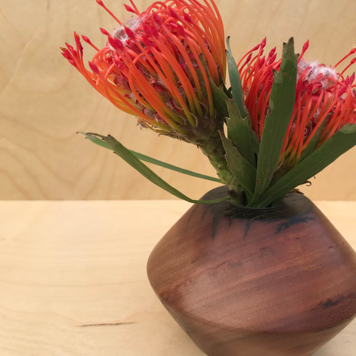 ZIG WOOD BUD VASE - PETIT | RECLAIMED BLACK WALNUT